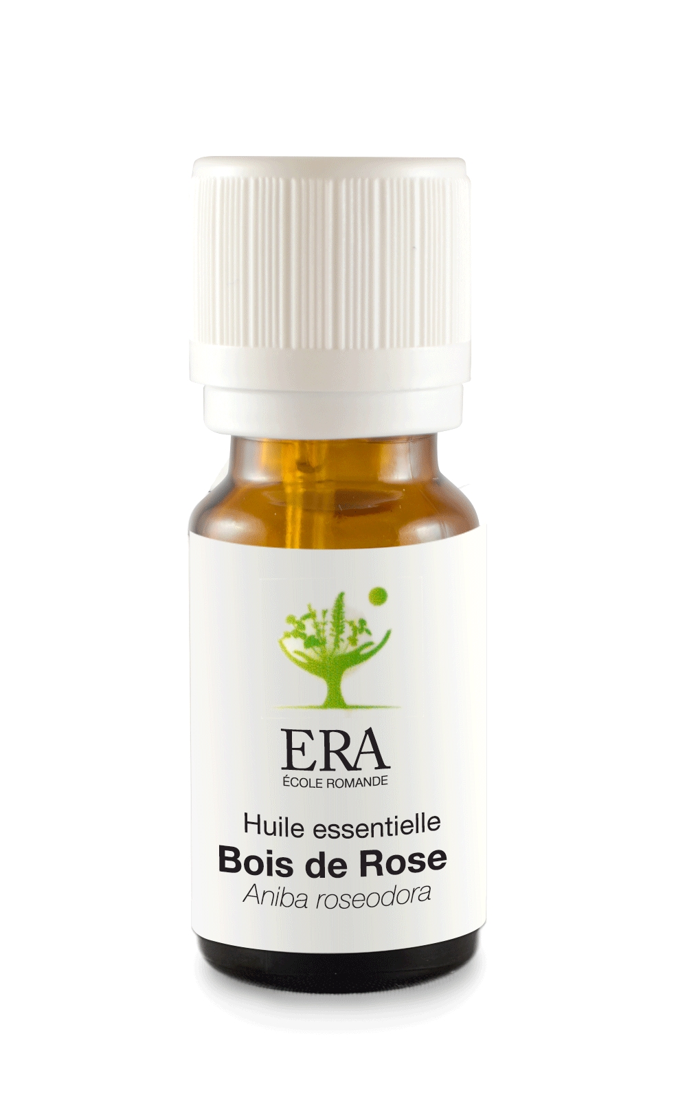 Bois de Rose - Aniba rosaeodora - Lauracées
