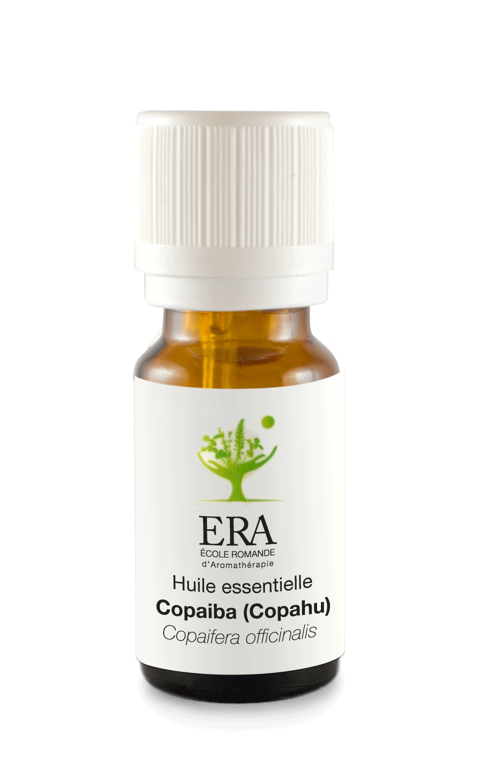 Copaiba (Copahu) - Copaifera officinalis - Césalpiniacées