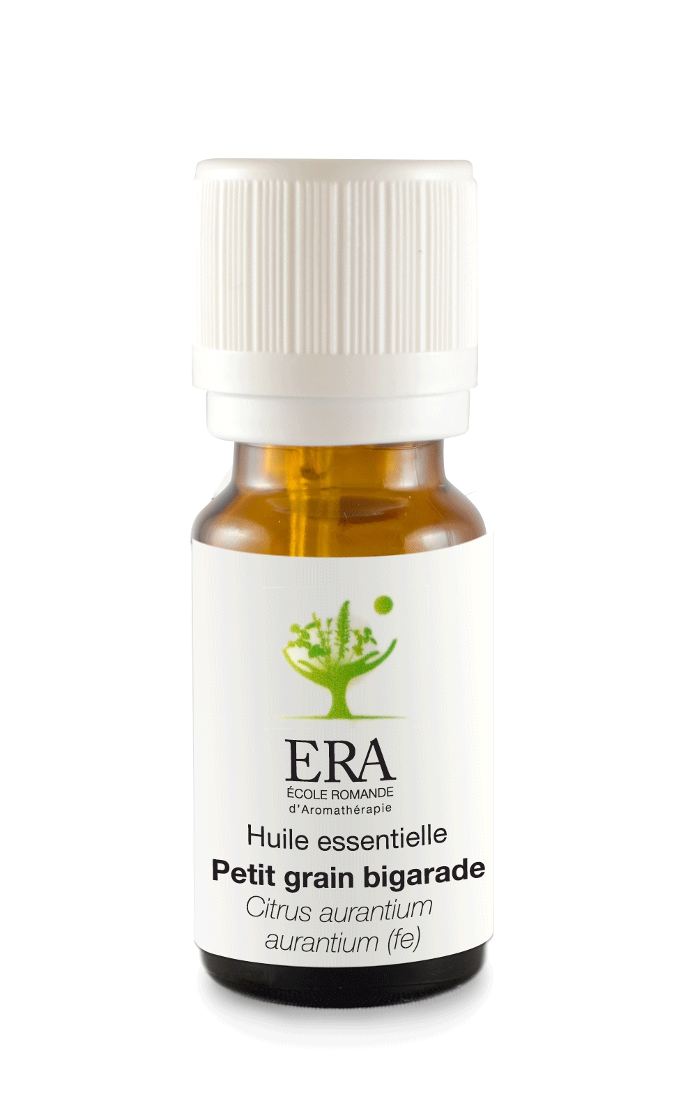 Petit grain bigarade - Citrus aurantium aurantium (fe) - Rutacées