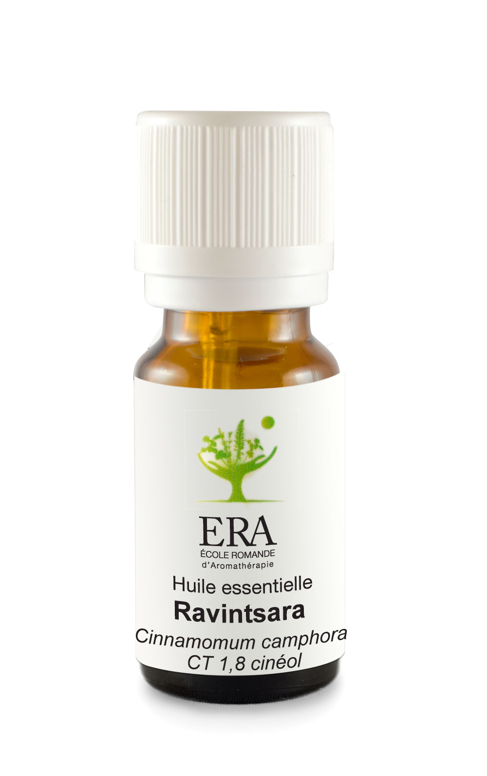 Ravintsara - Cinnamomum camphora CT 1,8 cinéol - Lauracées