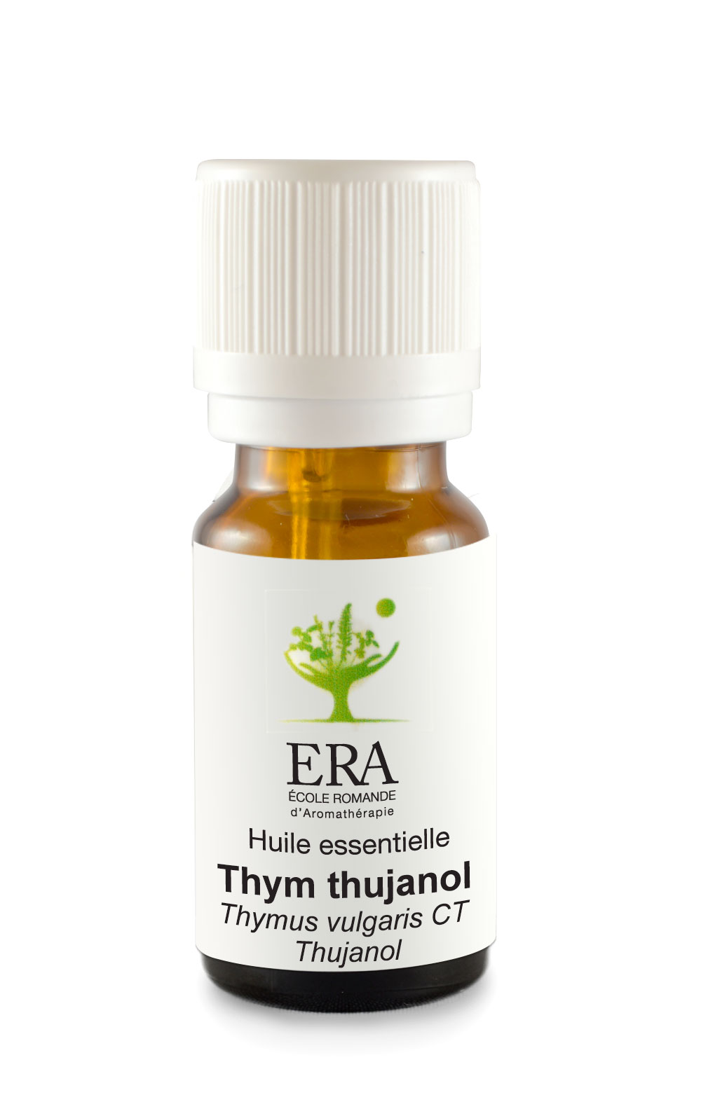Thym thujanol - Thymus vulgaris CT thujanol - Lamiacées